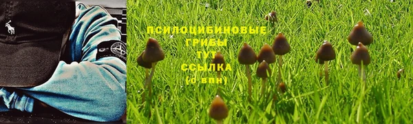 метадон Кинешма