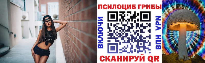 Галлюциногенные грибы Psilocybine cubensis  Купить  Рыльск 